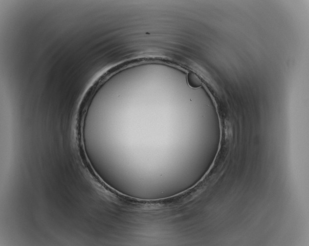 X0000113531068200910021325