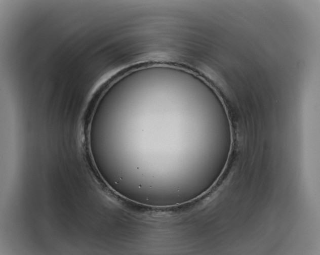 X0000113531070200910021325