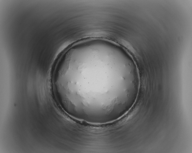 X0000113531071200910021325