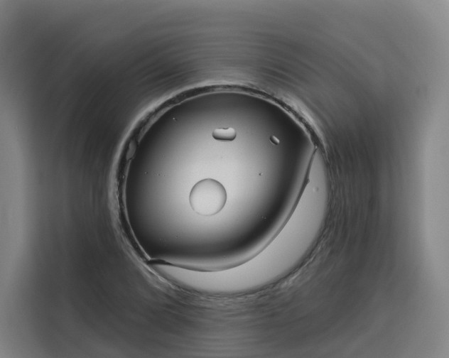 X0000113531072200910021325