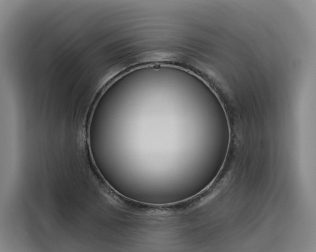 X0000113531073200910021325