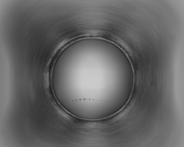 X0000113531075200910021325