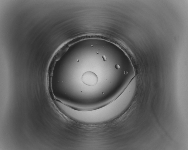 X0000113531076200910021325