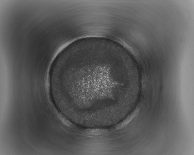 X0000113531077200910021325