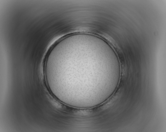 X0000113531078200910021325