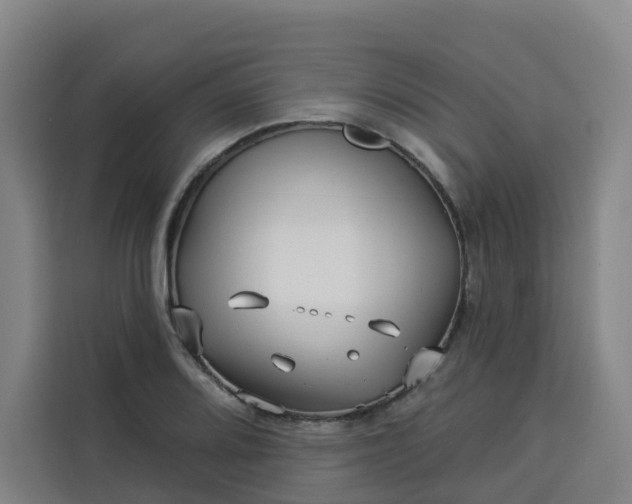 X0000113531080200910021325