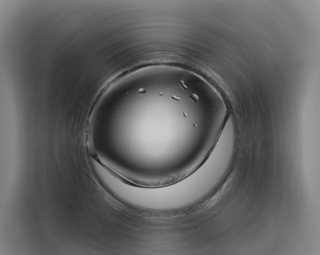 X0000113531081200910021325