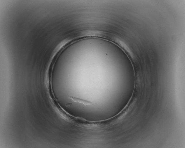 X0000113531082200910021325