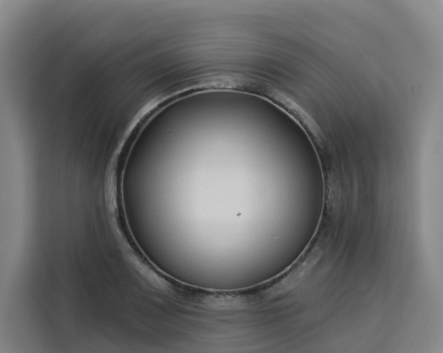 X0000113531083200910021325