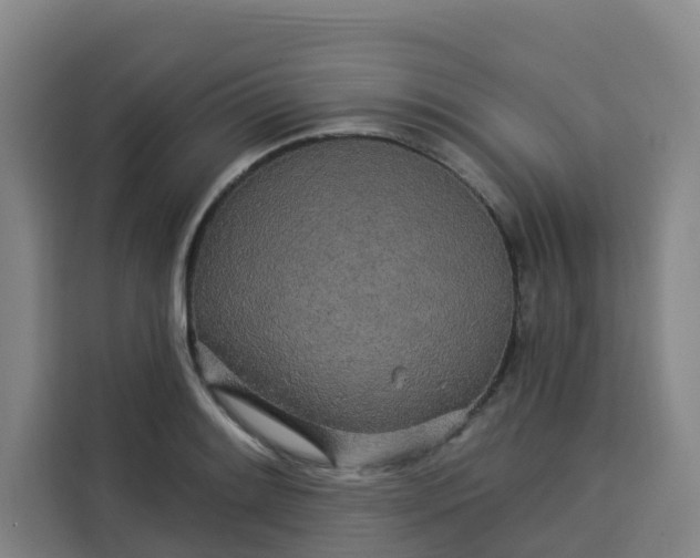 X0000113531084200910021325