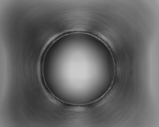 X0000113531085200910021325