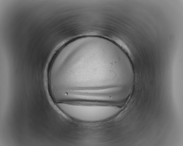 X0000113531088200910021325