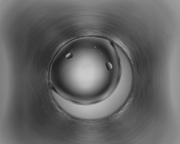 X0000113531089200910021325