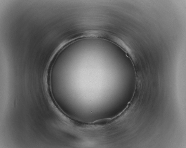 X0000113531091200910021324