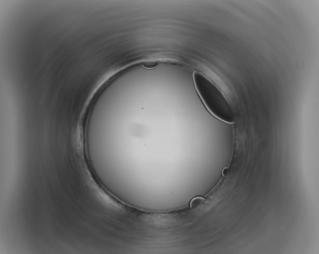 X0000113531092200910021324