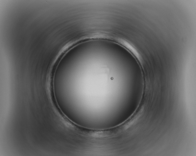 X0000113531093200910021324