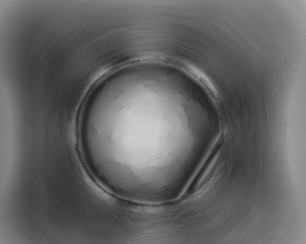 X0000113531095200910021324