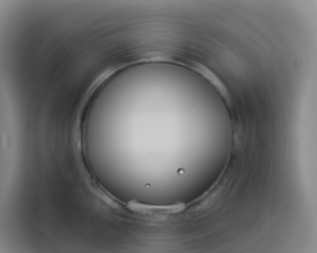 X0000113531096200910021324