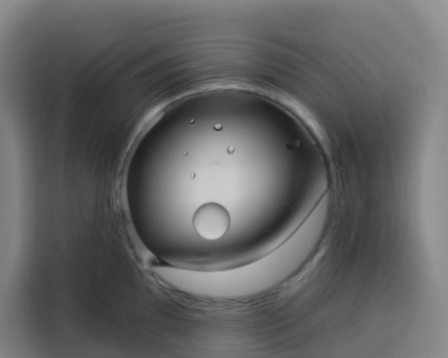 X0000113531097200910021324