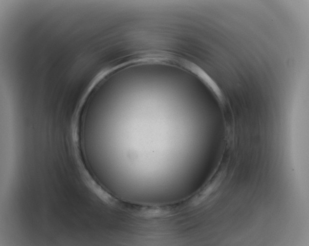 X0000113531099200910021324