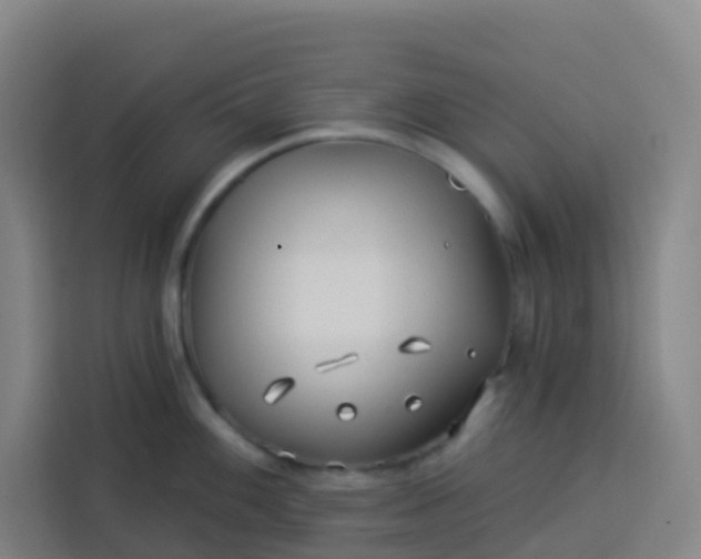 X0000113531100200910021324