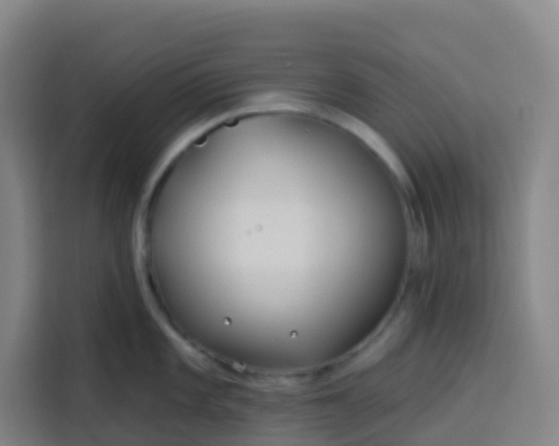 X0000113531101200910021324