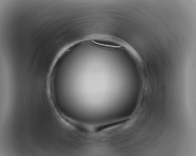 X0000113531102200910021324