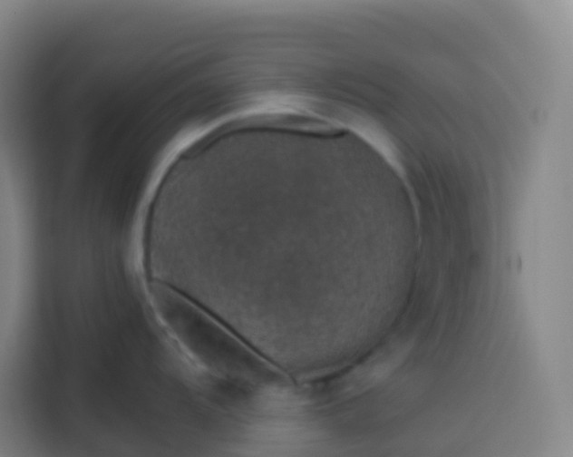 X0000113531104200910021324