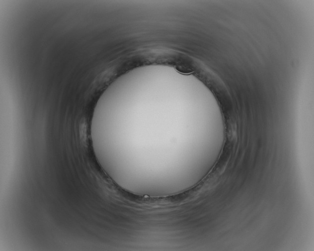 X0000113531108200910021324