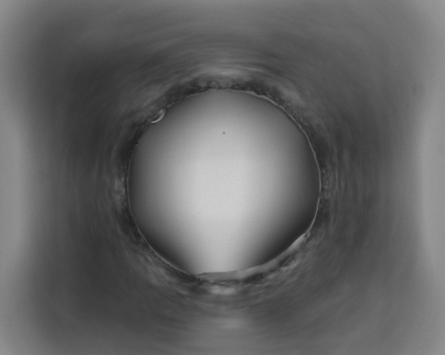 X0000113531109200910021324