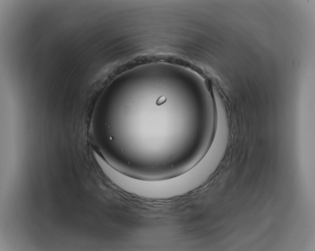 X0000113531110200910021324