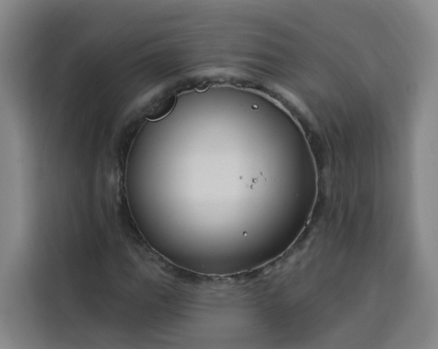 X0000113531111200910021324