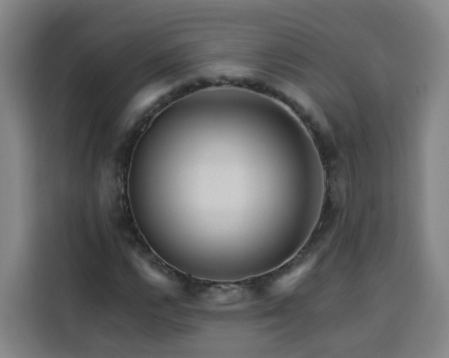 X0000113531112200910021324