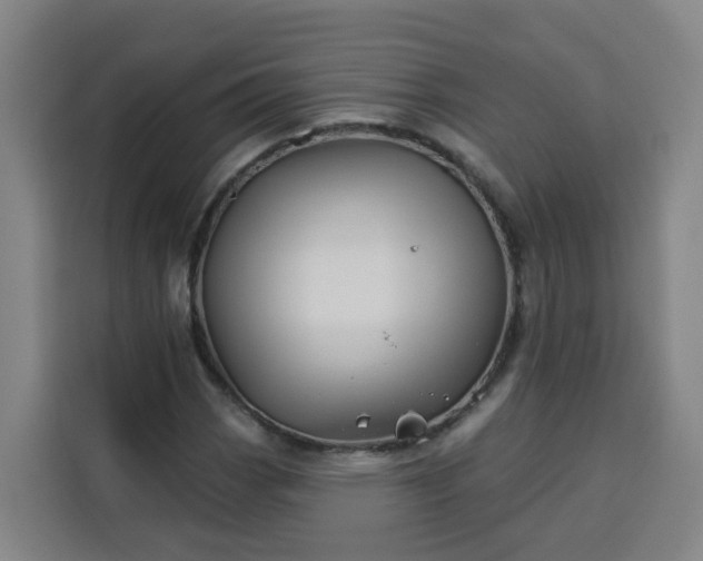 X0000113531113200910021324