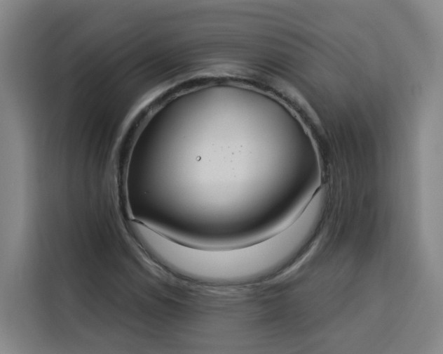 X0000113531114200910021324