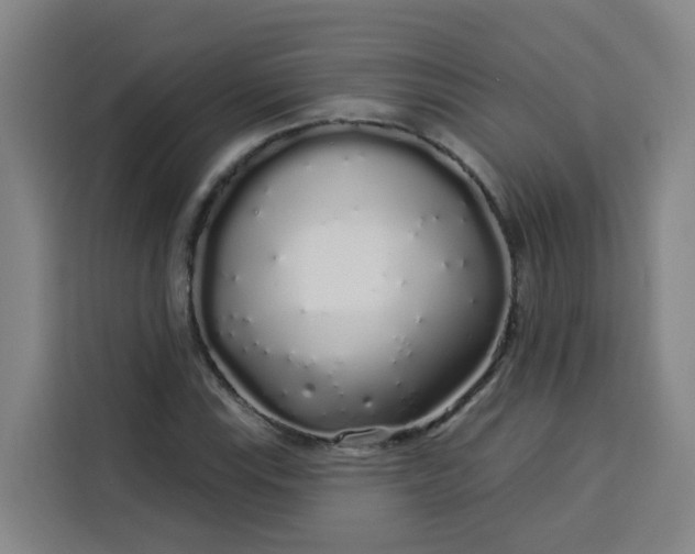 X0000113531115200910021324