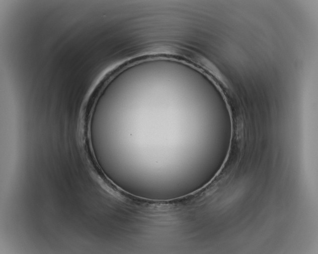 X0000113531116200910021324