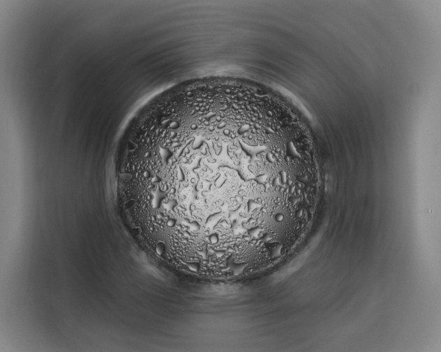 X0000113531117200910021324