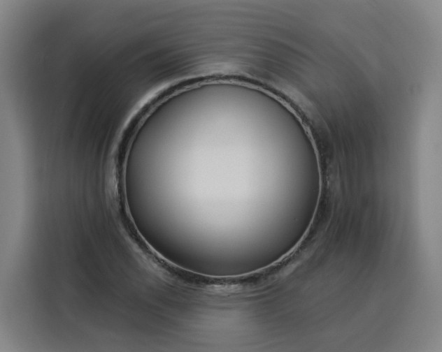 X0000113531118200910021324