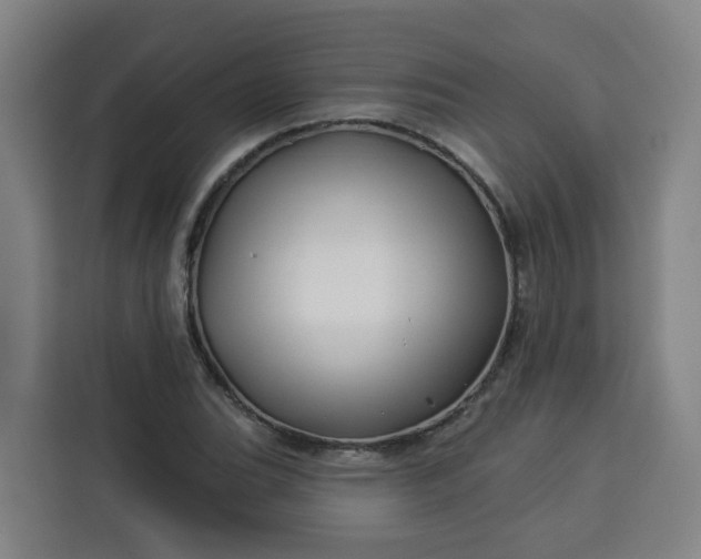 X0000113531119200910021324