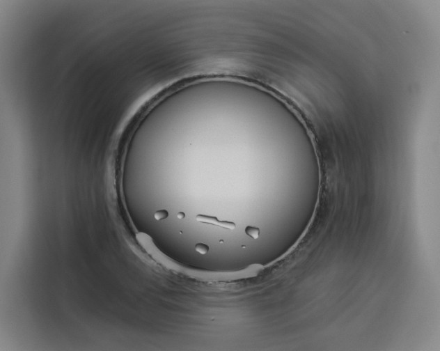 X0000113531120200910021324