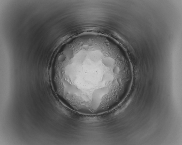 X0000113531121200910021324