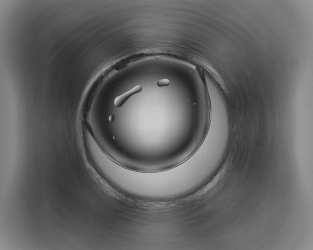 X0000113531122200910021324