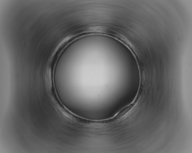 X0000113531123200910021324