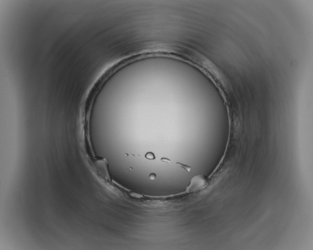 X0000113531124200910021324