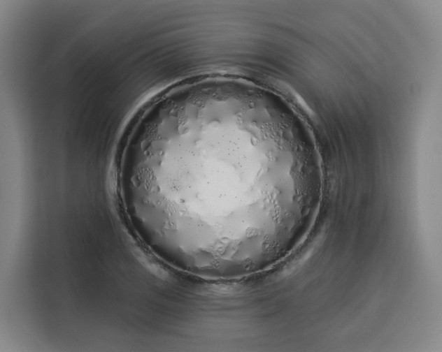 X0000113531125200910021324