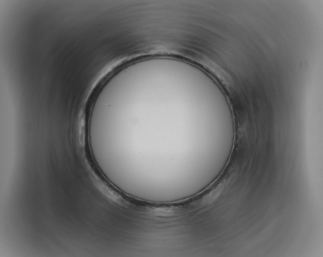 X0000113531126200910021324