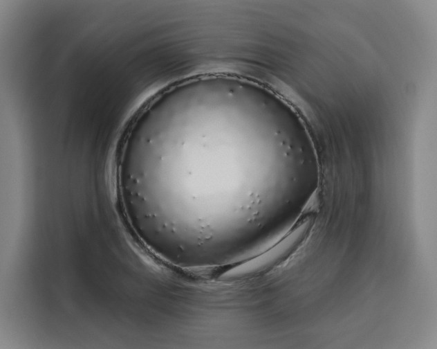 X0000113531127200910021324