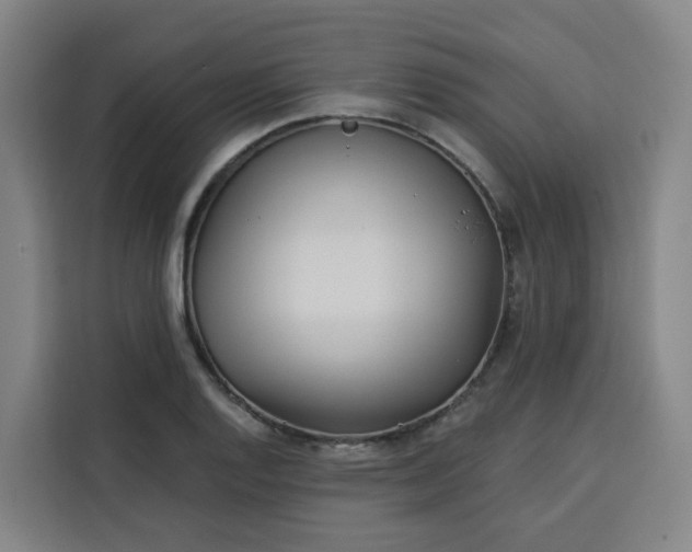 X0000113531128200910021324