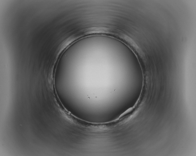 X0000113531129200910021324